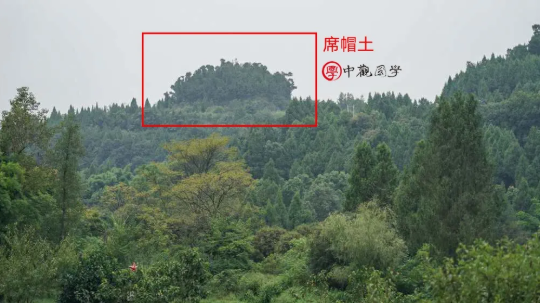 席帽土