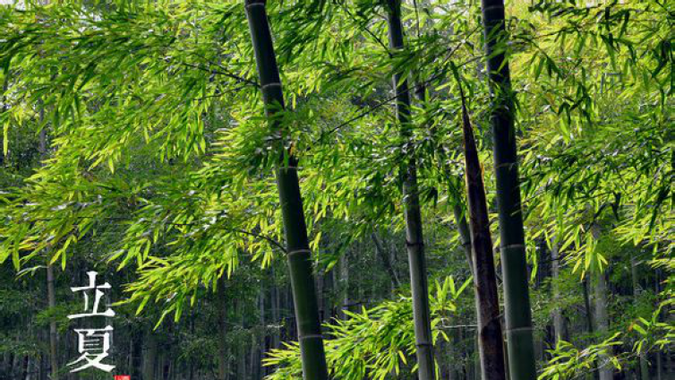 易话节气 | 立夏：夏季来了，你准备好了吗？