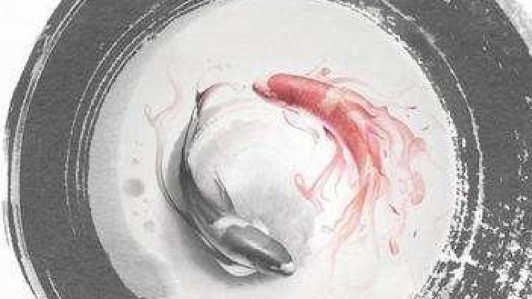 奇门基础知识——乾卦的类象