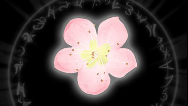 八字基础知识 | 什么是神煞？