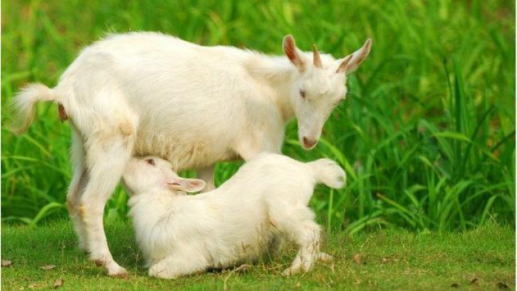 奇门遁甲基础 | 兑卦的象意解读