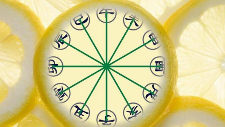 八字培训学习| 六合六冲是什么意思