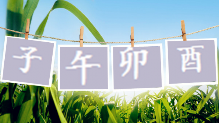 今天七夕节|八字命理桃花简直不要太多