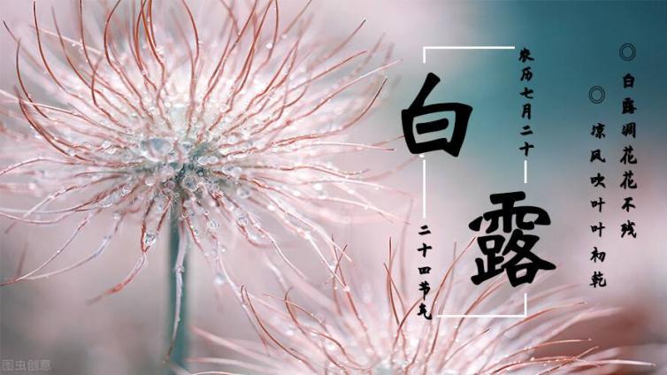 今天白露| 乙酉月“真桃花”当令单身宝宝把握机会哦