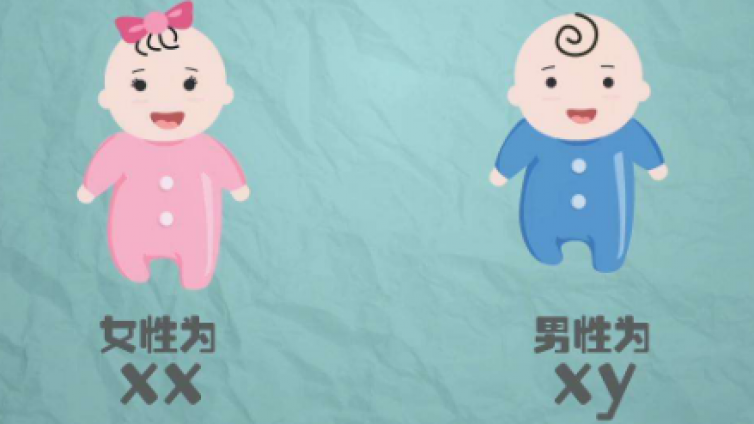 奇门遁甲预测生男生女| 准确率就是这么高