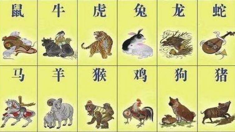 男女八字不合只是生肖相冲吗，除了生肖还有哪些？